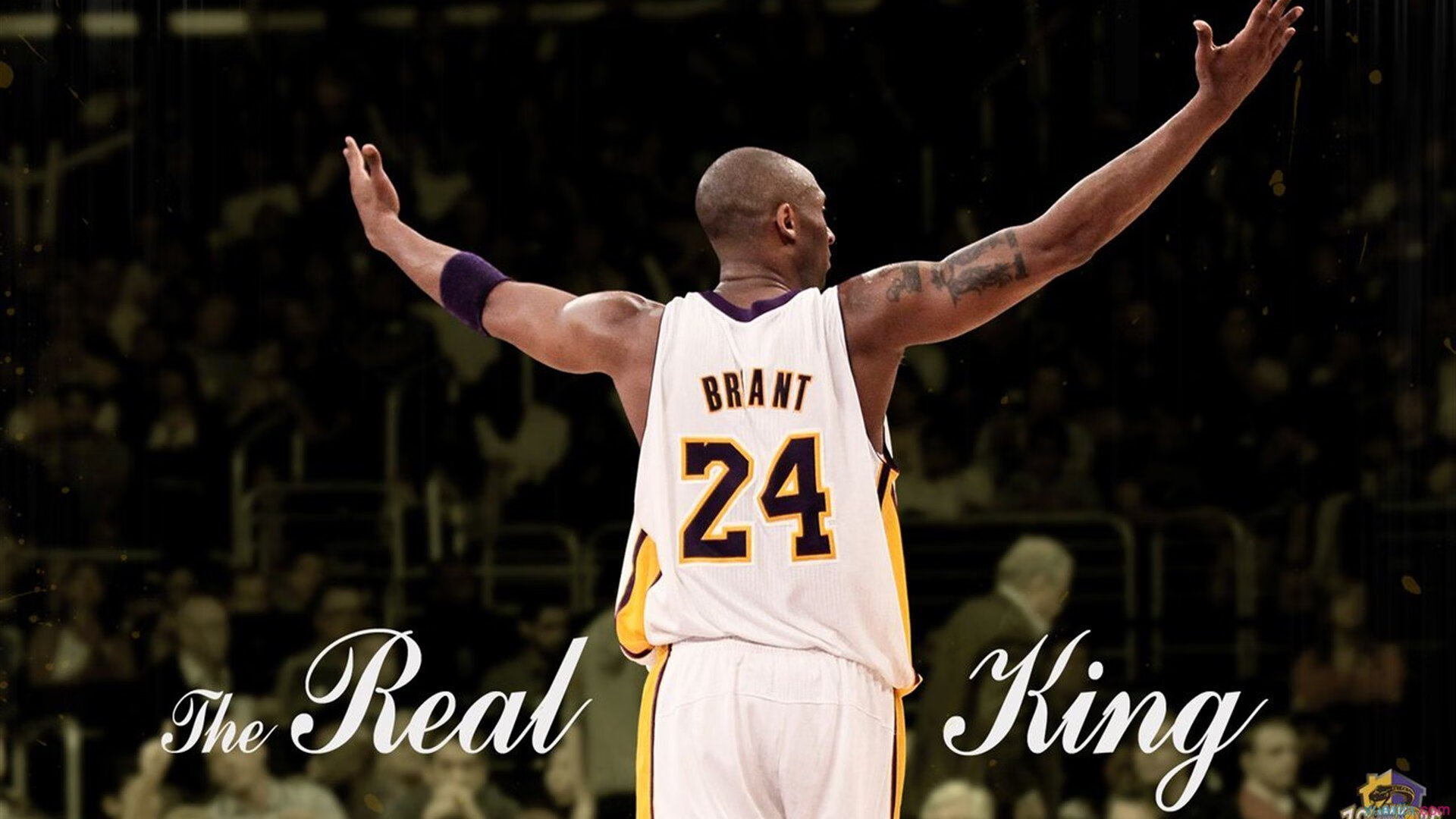 欧冠半决赛之夜,伦纳德状态火热